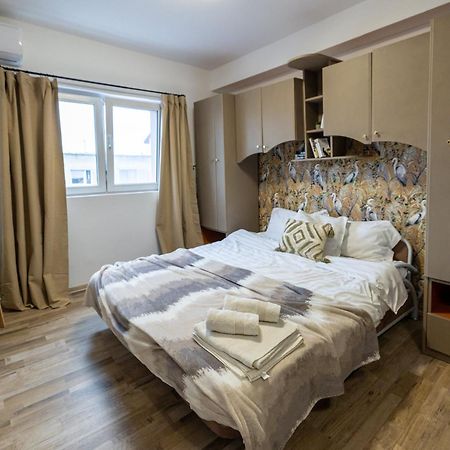 Cozy Studio Retreat - Quiet, Premium Stay Timişoara Eksteriør billede